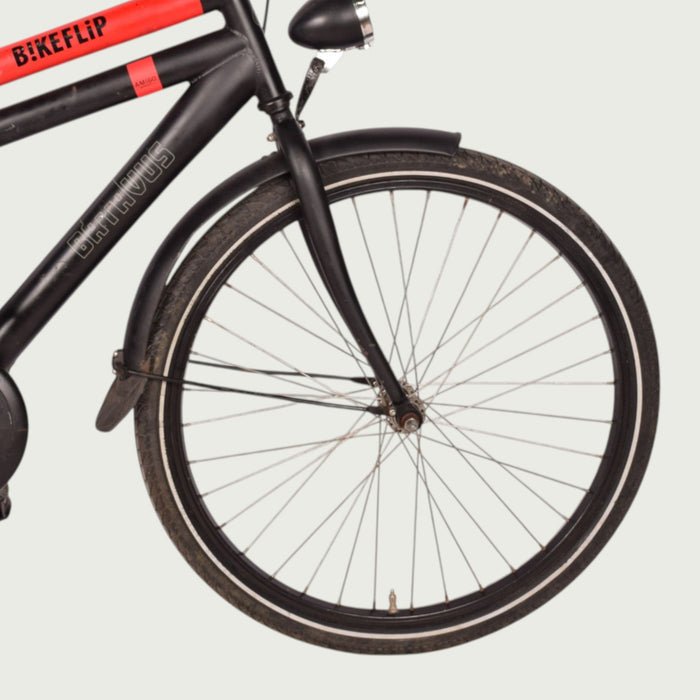 24.2017 kinderfiets - BikeFlip