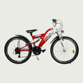 24.209 - BikeFlip