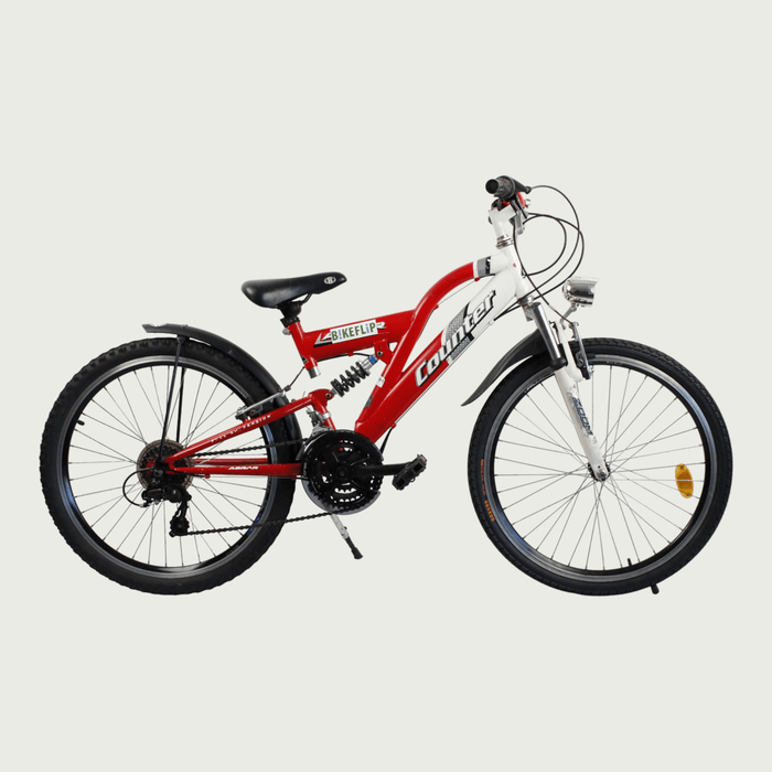 24.209 - BikeFlip