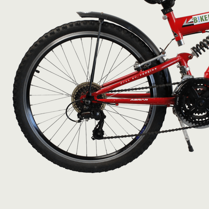 24.209 - BikeFlip
