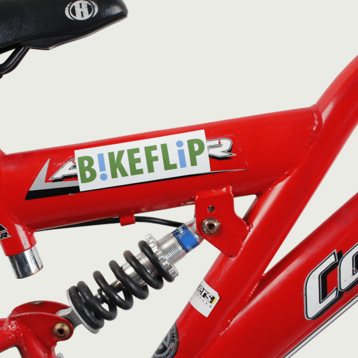 24.209 - BikeFlip