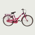 24.2205 kinderfiets - BikeFlip