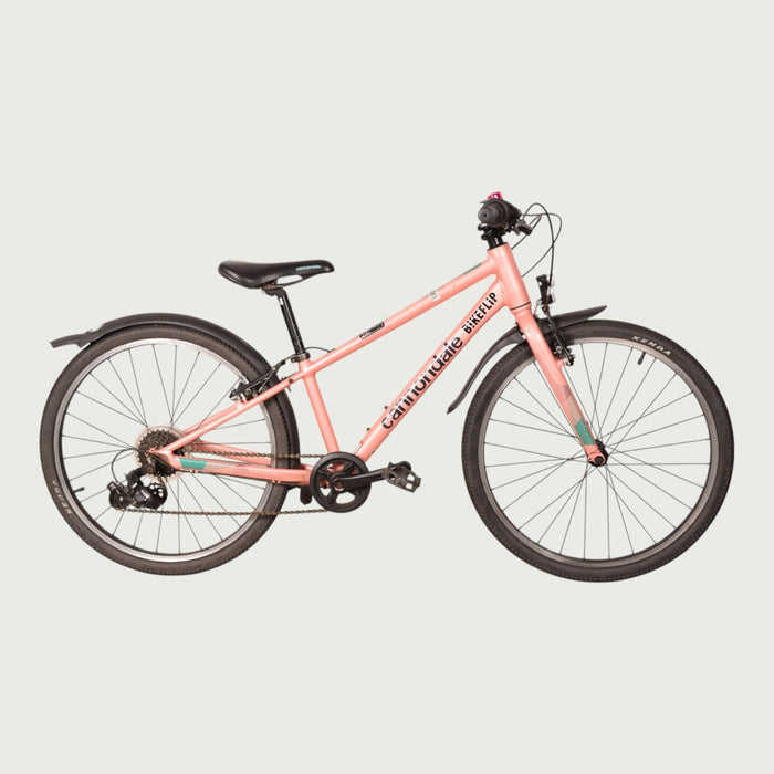24.2243 kinderfiets - BikeFlip