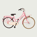 24.2269 kinderfiets - BikeFlip