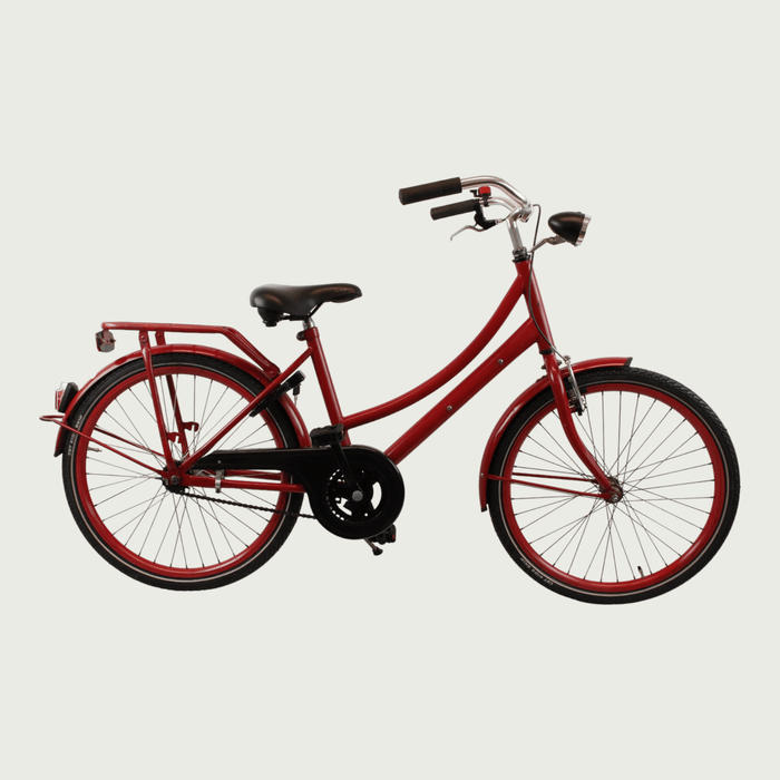 24.289 - BikeFlip