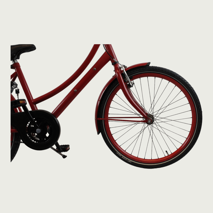 24.289 - BikeFlip
