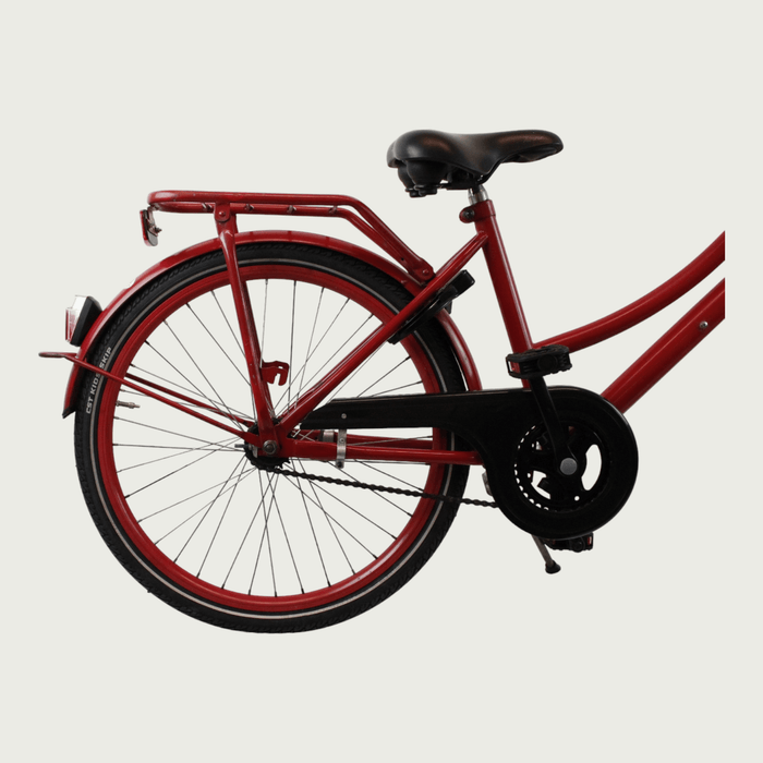 24.289 - BikeFlip
