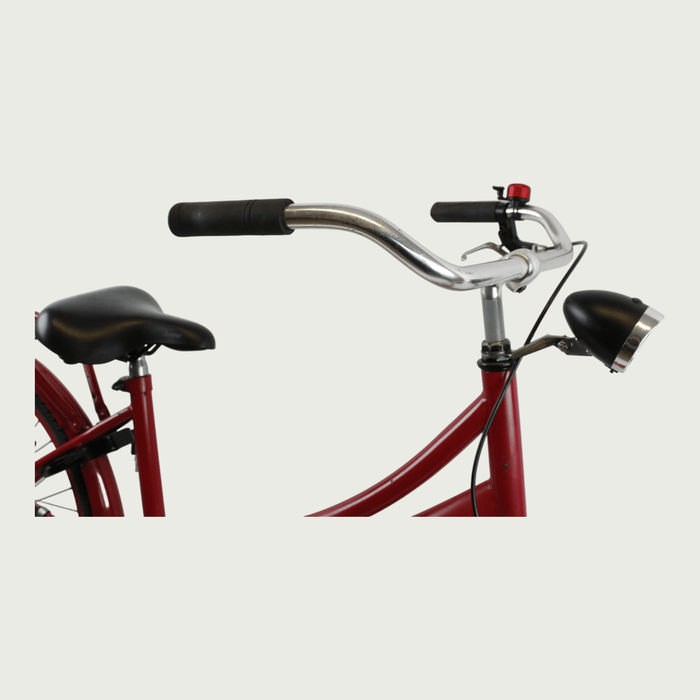 24.289 - BikeFlip
