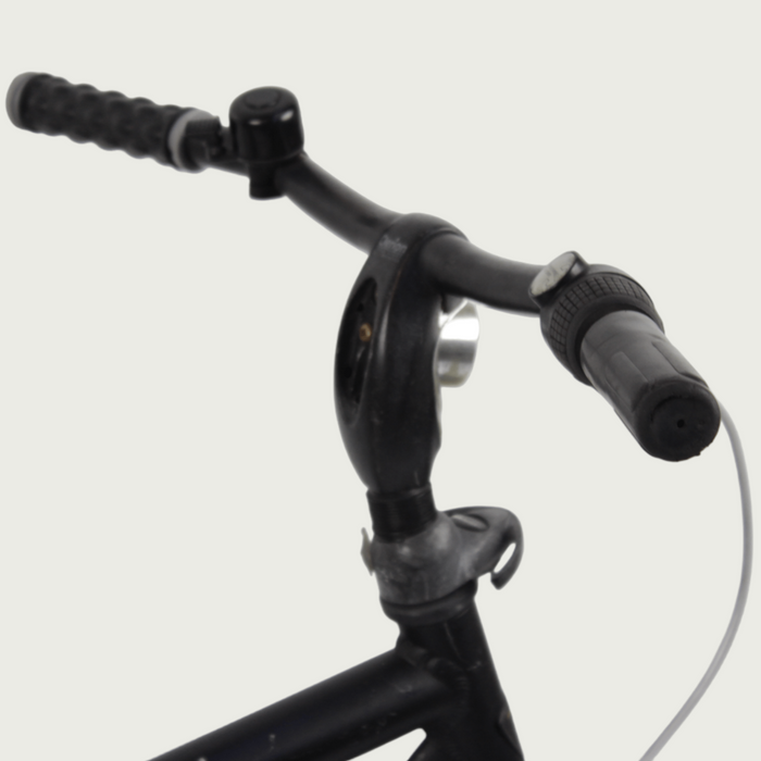 24.29 - BikeFlip
