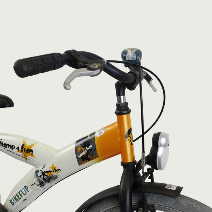 24.342 - BikeFlip