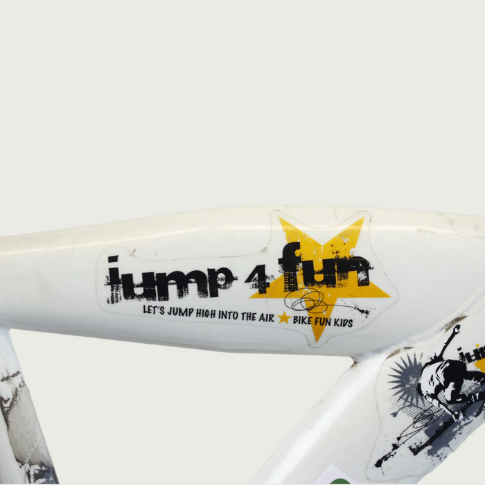 24.342 - BikeFlip