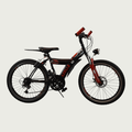 24.521 - BikeFlip