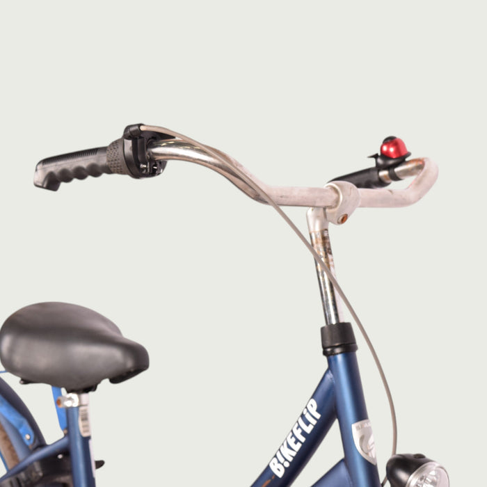 24.919 - BikeFlip
