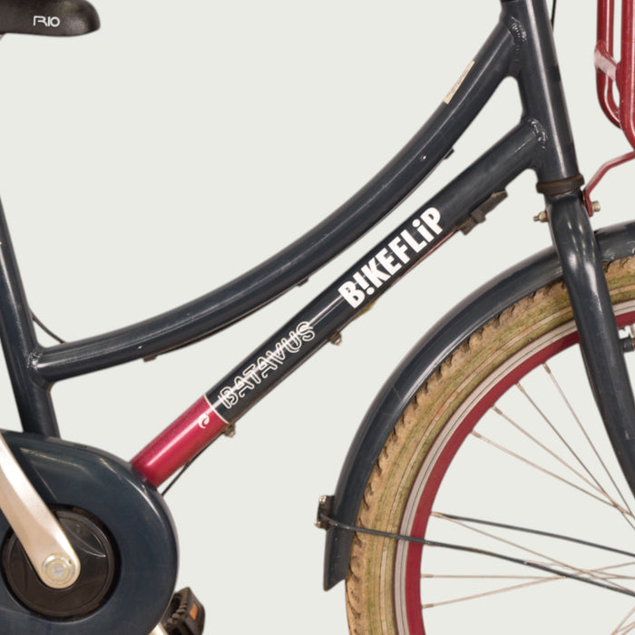 24.991 - BikeFlip