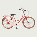 26.1062 - BikeFlip