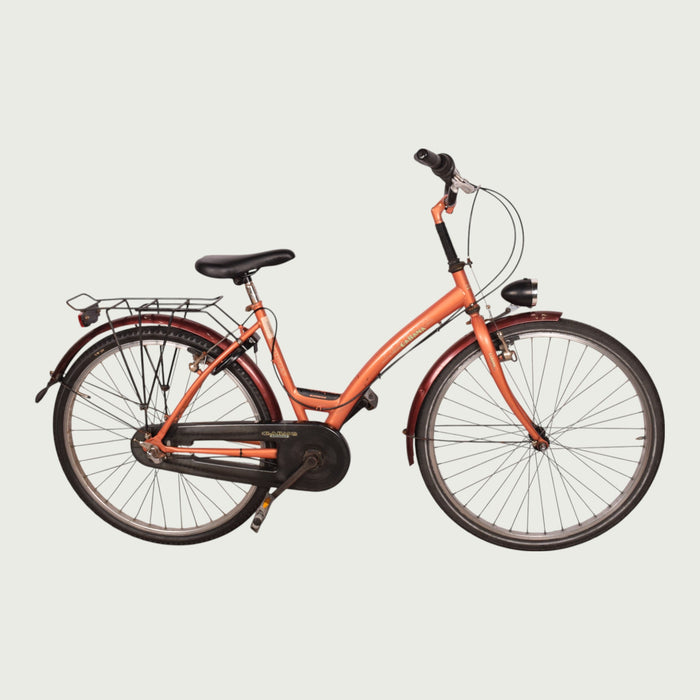 26.1063 - BikeFlip