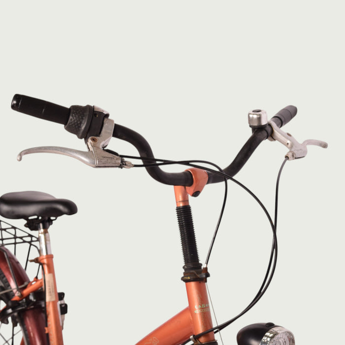 26.1063 - BikeFlip