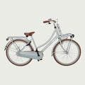 26.1149P - BikeFlip