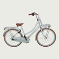 26.1154P - BikeFlip