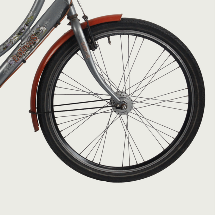 26.184 - BikeFlip