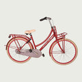 26.2195 kinderfiets - BikeFlip