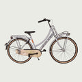 26.2217 kinderfiets - BikeFlip