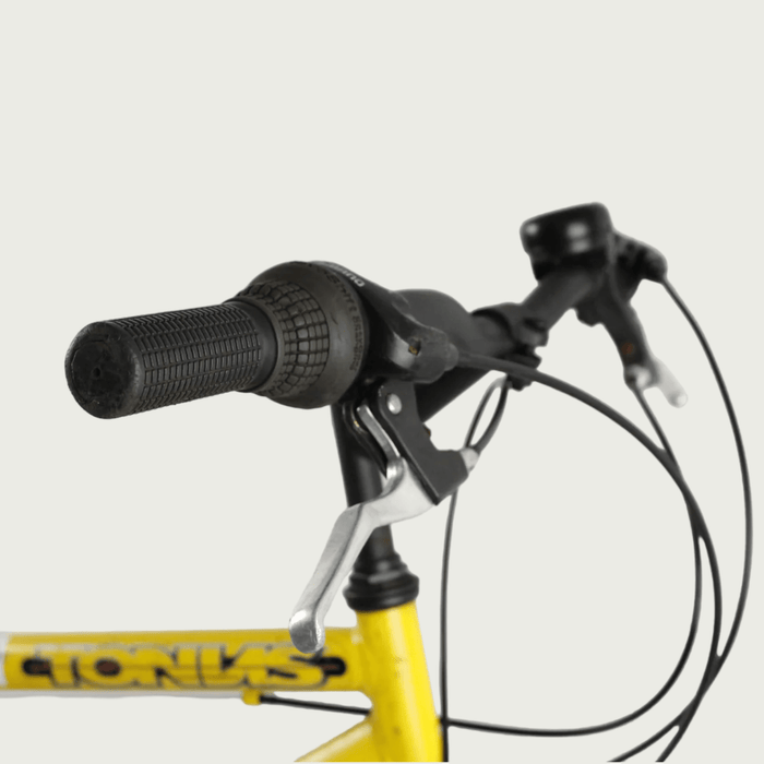 26.222 - BikeFlip