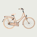 26.2313 kinderfiets - BikeFlip