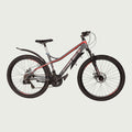 26.2401 kinderfiets - BikeFlip