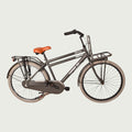 26.2421 kinderfiets - BikeFlip