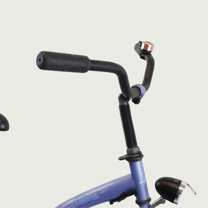 26.305 - BikeFlip