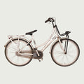 26.995 - BikeFlip