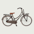 26.998 - BikeFlip