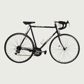28.1004 - BikeFlip