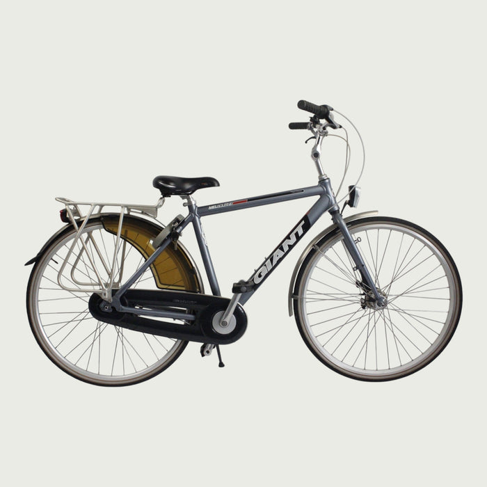 28.1011 - BikeFlip