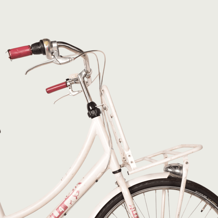 28.5139 kinderfiets - BikeFlip