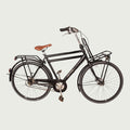 28.5163 kinderfiets - BikeFlip