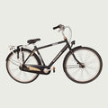 28.5198 kinderfiets - BikeFlip
