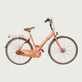 28.5316 kinderfiets - BikeFlip