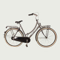 28.5319 kinderfiets - BikeFlip