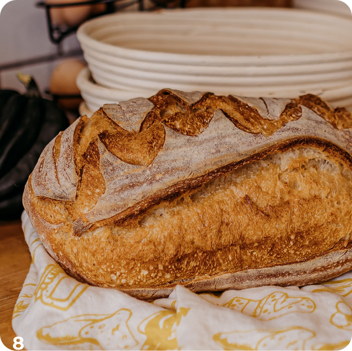 A Taste of Sourdough - Physical Cookbook
