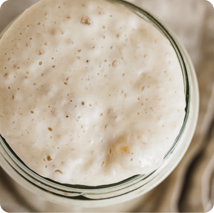 A Taste of Sourdough - Physical Cookbook