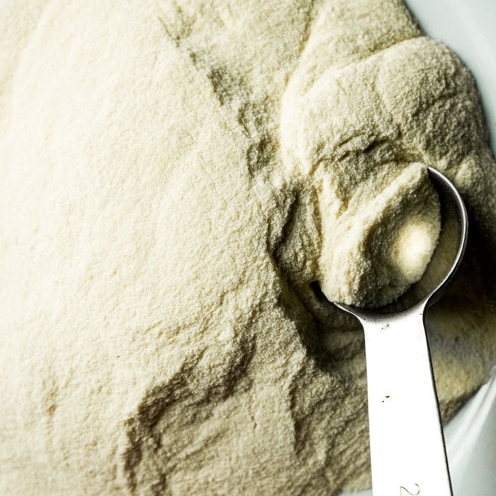 Close-up of a spoonful of white powder on a pile of powder