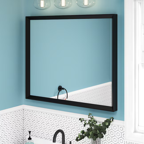 allen + roth 30-in x 36-in Framed Rectangle Bathroom Vanity Mirror (Black)