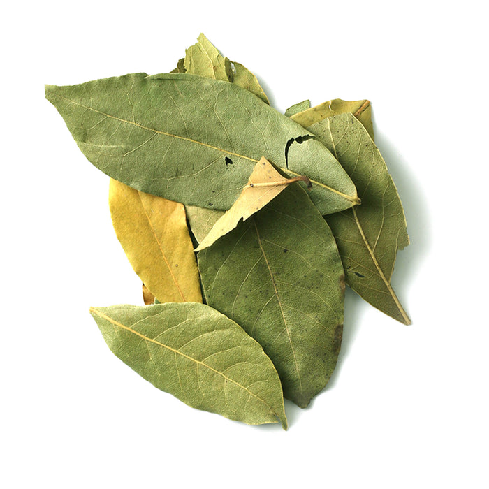 Closeup of light and dark green whole leaves
