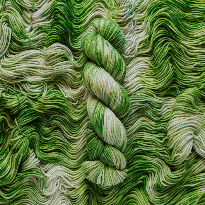 "Cabbage" Hand-Dyed Yarn – Garden Collection
