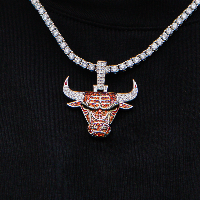 Chicago Bulls