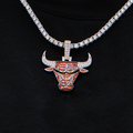 Chicago Bulls