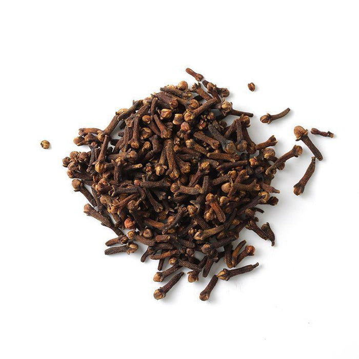 Closeup of small, reddish-brown, nail-shaped woody stems with a four-pronged bud
