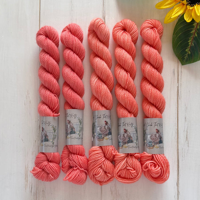 "Coral Reef" Mini Sock Hand-dyed Yarn